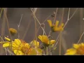 How to protect yourself against seasonal allergies in the Phoenix area