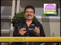 Gambus Ali Alatas Jangan Pura Pura