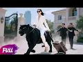 Download Lagu Bị gia tộc ghét bỏ, cô gái trùng sinh kéo vali bỏ đi thì được anh em tổng tài hết sức cưng chiều