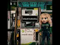 VeRseNE GaSSoLİNaa - Era7capone & Batuflex ( Official Audio ) Musap