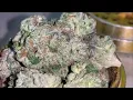 NITRO COOKIES STRAIN REVIEW 27 THC BY ORGANNIC CRAFT
