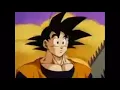 Bojack s Backstory