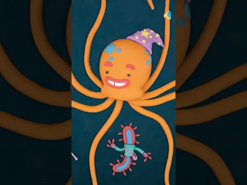 C'è uno chef davvero unico nella cucina degli abissi! 🎶🐙