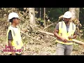 Marsau Plans The Scott Family Legacy Love and Marriage Huntsville Oprah Winfrey Network