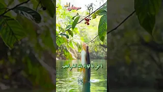 اللهم يامن على العرش استوى    إدريس أبكر دندنها