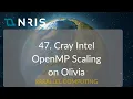 47 Cray Intel OpenMP Scaling on Olivia