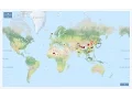Map Widget