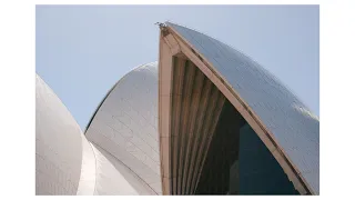                                                                                دندنها