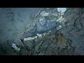 Titanic Wreck Debris Field And Artifacts