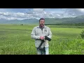 How to wear and adjust The Denali Chest Holster
