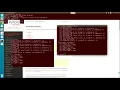 Extracting weights and bias in Pytorch