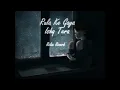 Lagu Rula ke Gaya Ishq Tera (slowed+reverb) | Relax Reverb