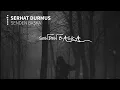 Serhat Durmus - Senden Başka (ft. Reyhan Altınbay)
