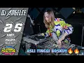 Download Lagu DJ ANGELIE 25 MEI 2024 X VipGASSPOL At- GRAND DRAGON PEKANBARU