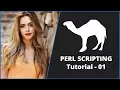 PERL Tutorial - 1 PERL Tutorial for Beginners