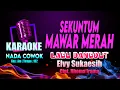 Download Lagu Sekuntum Mawar Merah Karaoke Nada COWOK (Pria) Lagu Dangdut Elvy Sukaesih Cipt. Rhoma Irama Key : Am