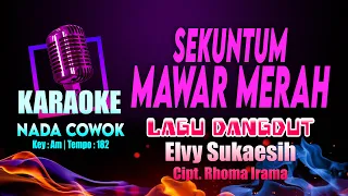 Download Sekuntum Mawar Merah Karaoke Nada COWOK (Pria) Lagu Dangdut Elvy Sukaesih Cipt. Rhoma Irama Key : Am MP3