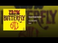 Soul Experience - Iron Butterfly