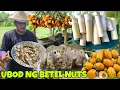 Download Lagu Ubod ng Betel Nuts /Nga Nga Masarap na Ginataan..Lutong Probinsiya