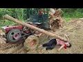 Download Lagu Full Video 50 Days Girl Driving Agricultural Vehicle Transporting Wood