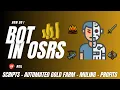 How do I bot in OLDSCHOOL RUNESCAPE by NkiL