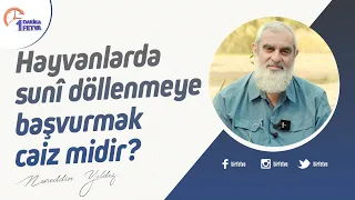 Hayvanlarda sunî döllenmeye başvurmak caiz midir?