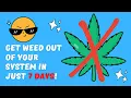 THC Detox How to get weed out of your system in 7 days