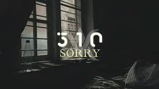 Download 510 - Sorry | Lirik lagu MP3