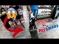 Is Petco Better Than PetSmart