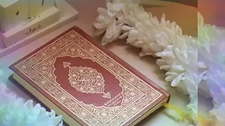  نشيد خفق الفؤاد   دندنها