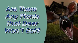 Food Crops That Deer Hate To Eat