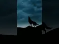 Download Lagu wolf howling at the moon