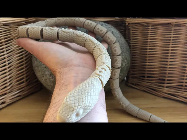 Pi-thon video thumbnail