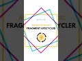 fragment Lifecycle In Android Example Android Activity Lifecycle Example