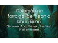 Lagu Dúlamán - LYRICS + Translation - Celtic Woman