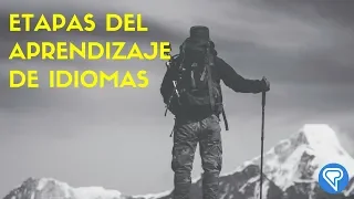 Etapas del aprendizaje de idiomas