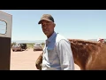 COME WITH US ON A TRAIL RIDE IN SEDONA AZ