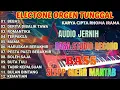 Lagu FULL ALBUM LAGU DANGDUT PILIHAN TERBAIK KARYA CIPTA RHOMA IRAMA AUDIO JERNIH RASA STUDIO