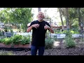 A Quick Tour of Lee's Beautiful Utah Garden! 🌱