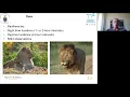 Hidden Markov Movement Modelling with Irregular Data - Dr Victoria Goodall
