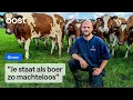 Lagu Koeien van boer Sám hard getroffen door blauwtongvirus | Oost