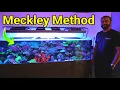 Download Lagu Imran's 6-Foot Acro Tank of the Month (Running Chris Meckley Method)