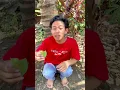 Download Lagu Tek tek murah,kamu nanya bertanya tanya #shorts