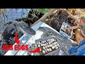 Aggressive Alligator Attacks Our Boat For Stealing Her Eggs Never Try This
