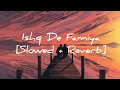 Download Lagu Ishq De Fanniya [Slowed \u0026 Reverb] Lofi Music