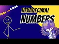 Learn Hexadecimal in 5 Minutes Hex to Decimal Back