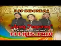Download Lagu ARANG TAMPURUNG||TRIO ELEXIS||LAGU POP INDONESIA TERBARU