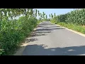 Download Lagu story wa jalan sore ngabuburit di pegunungan