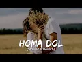 Download Lagu Homa Dol (Slowed +Reverb) | Neeti Mohan, Rajat Nagpal,Saad Lamjarred | Lofi Song