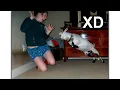 Download Lagu Half an Hour of XD Moments #167